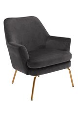 Кресло Chisa, темно-серое цена и информация | Кресла в гостиную | kaup24.ee
