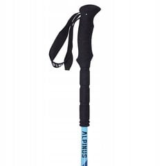 Käimiskepid Alpinus Matterhorn NX11314, 65-135 cm цена и информация | Палки для ходьбы | kaup24.ee