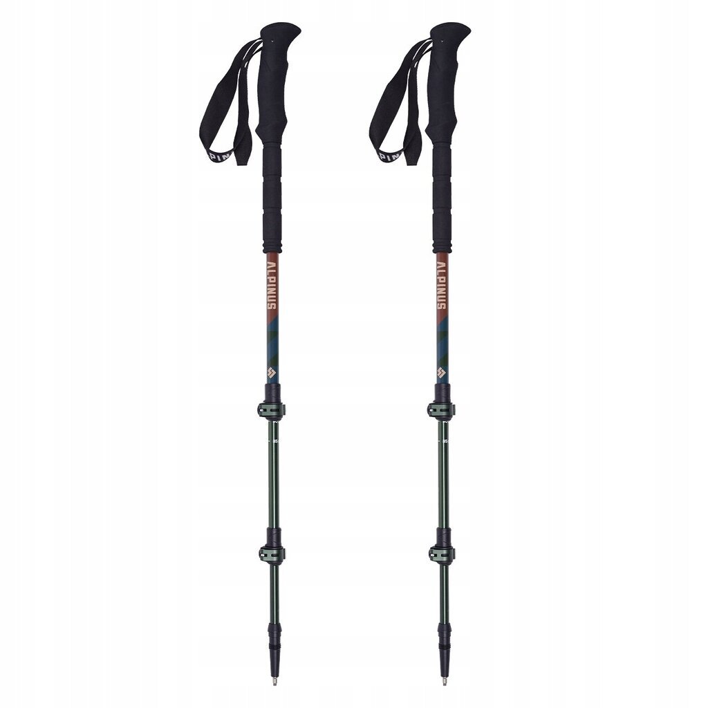 Käimiskepid Alpinus Matterhorn NX11313, 65-135 cm цена и информация | Käimiskepid | kaup24.ee