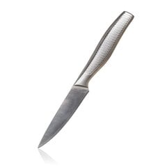 Нож Metalic цена и информация | Подставка для ножей Tescoma Woody, 21 см | kaup24.ee