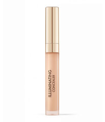 Peitekreem Dr Irena Eris Illuminating Concealer 02 Nude, 1,7 ml hind ja info | Jumestuskreemid, puudrid | kaup24.ee