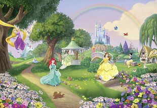 Фотообои Радуга из принцесс Disney цена и информация | Детские фотообои | kaup24.ee