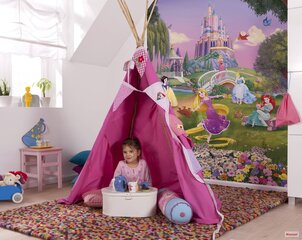 Фотообои Закат из принцесс Disney цена и информация | Детские фотообои | kaup24.ee