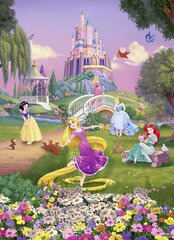 Fototapeet Disney Princess Sunset hind ja info | Lastetoa fototapeedid | kaup24.ee