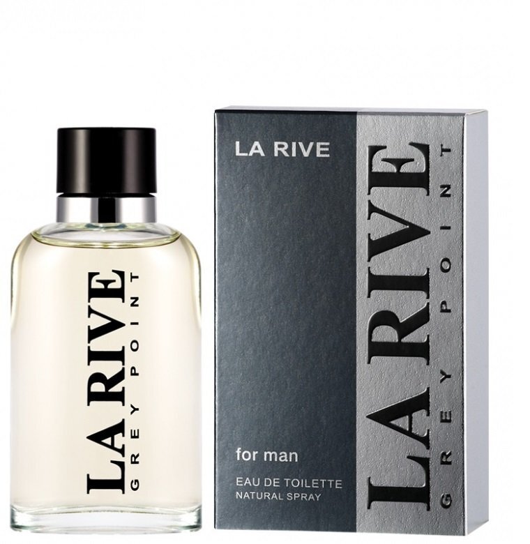 La Rive Grey Point For Man EDT meestele 90 ml цена и информация | Meeste parfüümid | kaup24.ee