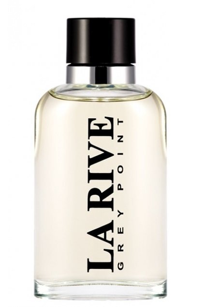 La Rive Grey Point For Man EDT meestele 90 ml цена и информация | Meeste parfüümid | kaup24.ee