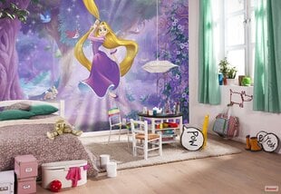 Laste fototapeet Rapunzel hind ja info | Lastetoa fototapeedid | kaup24.ee