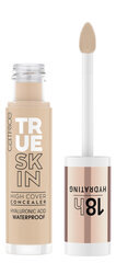 Peitekreem Catrice True Skin, 4,5 ml hind ja info | Jumestuskreemid, puudrid | kaup24.ee