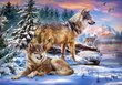 Pusle Castorland Wolfish Wonderland, 500 detaili hind ja info | Pusled | kaup24.ee
