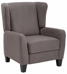 Кресло Aladdin, серое цена и информация | Кресла в гостиную | kaup24.ee