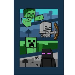 Laste fliistekk Minecraft, 100x150 cm hind ja info | Voodikatted, pleedid | kaup24.ee