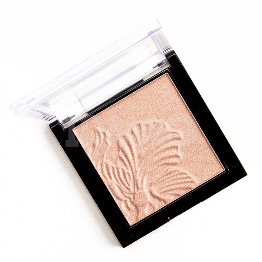 Kompaktpuuder Wet N Wild Highlighting powder MegoGlo 5,4 g цена и информация | Päikesepuudrid, põsepunad | kaup24.ee