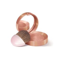 Põsepuna Bourjois Paris Blush 2.5 g hind ja info | Päikesepuudrid, põsepunad | kaup24.ee