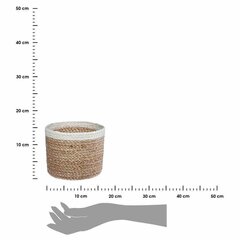 Asjade korvide komplekt, 3 tk hind ja info | Hoiukastid ja -korvid | kaup24.ee