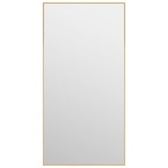 uksepeegel, kuldne, 40 x 80 cm, klaas ja alumiinium цена и информация | Зеркала | kaup24.ee