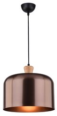 Candellux подвесной светильник Dictoria цена и информация | Потолочный светильник, 38 x 38 x 24 см | kaup24.ee