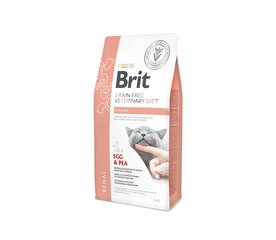 Brit GF Veterinary Diets Cat Renal kuivtoit neerupuudulikkusega kassidele, 2 kg hind ja info | Kuivtoit kassidele | kaup24.ee