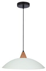 Candellux подвесной светильник Otriks цена и информация | Потолочный светильник, 38 x 38 x 24 см | kaup24.ee