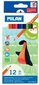 Kolmnurksed värvilised pliiatsid Milan 12 tk, 0722312 hind ja info | Kunstitarbed, voolimise tarvikud | kaup24.ee