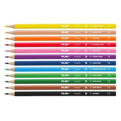 Kolmnurksed värvilised pliiatsid Milan 12 tk, 0722312 hind ja info | Kunstitarbed, voolimise tarvikud | kaup24.ee