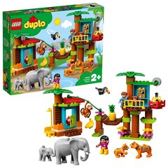 10906 LEGO® DUPLO Troopiline saar цена и информация | Конструкторы и кубики | kaup24.ee