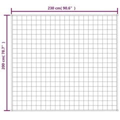 raskustekk hall 200x230 cm 13 kg kangas hind ja info | Tekid | kaup24.ee