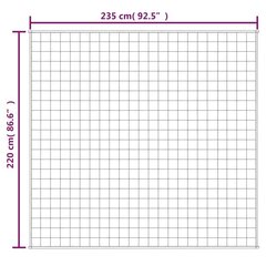 raskustekk kreemjas 220x235 cm 15 kg kangas hind ja info | Tekid | kaup24.ee