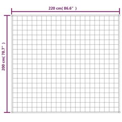 raskustekk sinine 200x220 cm 9 kg kangas hind ja info | Tekid | kaup24.ee