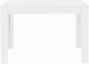 Обеденный стол Lori 120, белый цена и информация | Кухонные и обеденные столы | kaup24.ee