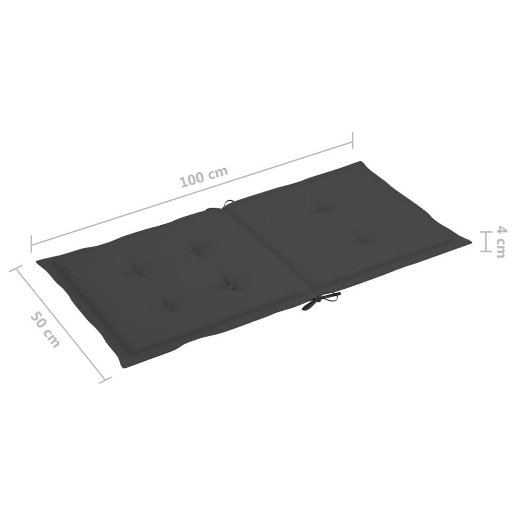 aiatooli istmepadjad 2 tk antratsiithall 100 x 50 x 3 cm цена и информация | Dekoratiivpadjad ja padjakatted | kaup24.ee