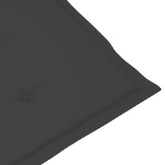 aiatooli istmepadjad 2 tk antratsiithall 100 x 50 x 3 cm цена и информация | Декоративные подушки и наволочки | kaup24.ee