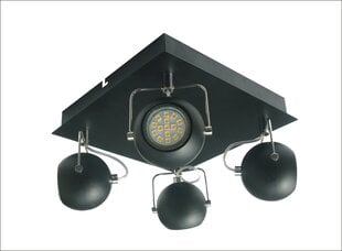 Candellux потолочный светильник Tony цена и информация | Потолочные светильники | kaup24.ee
