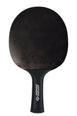 Ракетка для настольного тенниса Donic-Schildkrot CarboTec 900 цена и информация | Ракетки для настольного тенниса, чехлы и наборы | kaup24.ee