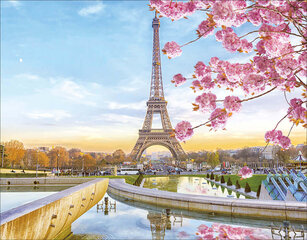 Алмазная мозаика 40x50 cm.  "Paris in Blossom" цена и информация | Алмазная мозаика | kaup24.ee