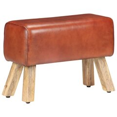 pink 58 cm, pruun, nahk hind ja info | Kott-toolid, tumbad, järid | kaup24.ee