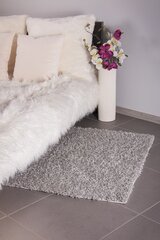 Vaip Shaggy Light Grey, 200 x 290 cm цена и информация | Ковры | kaup24.ee