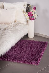 Vaip Shaggy Violet, 100 x 200 cm цена и информация | Коврики | kaup24.ee