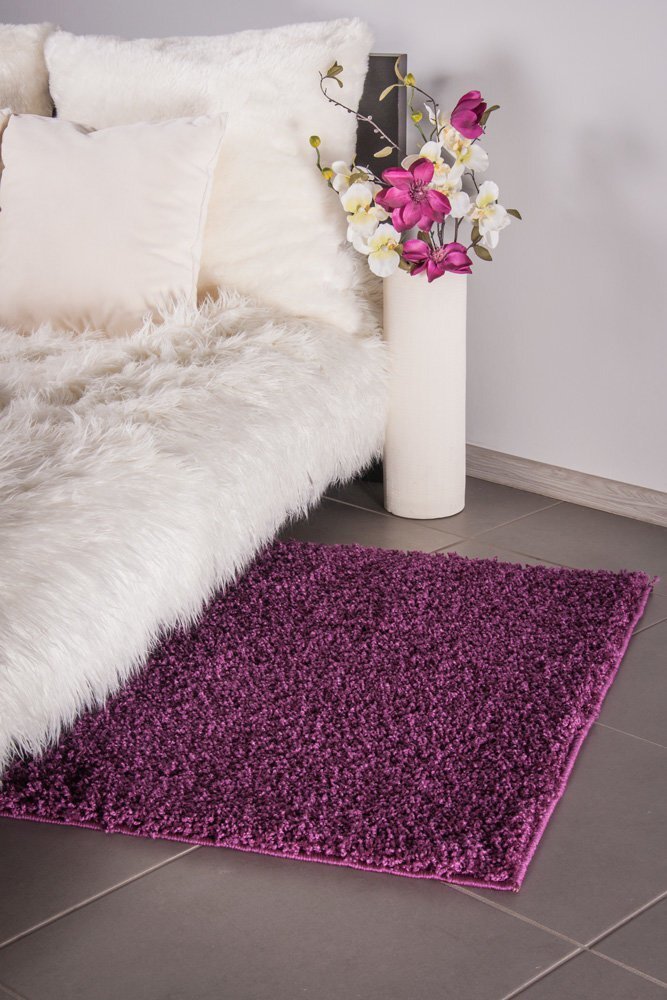 Vaip Shaggy Violet, 120 x 170 cm hind ja info | Vaibad | kaup24.ee