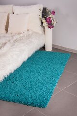 Vaip Shaggy Trukio, 160 x 220 cm цена и информация | Ковры | kaup24.ee