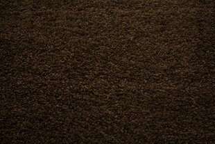 Vaip Shaggy Brown, 160 x 220 cm цена и информация | Ковры | kaup24.ee