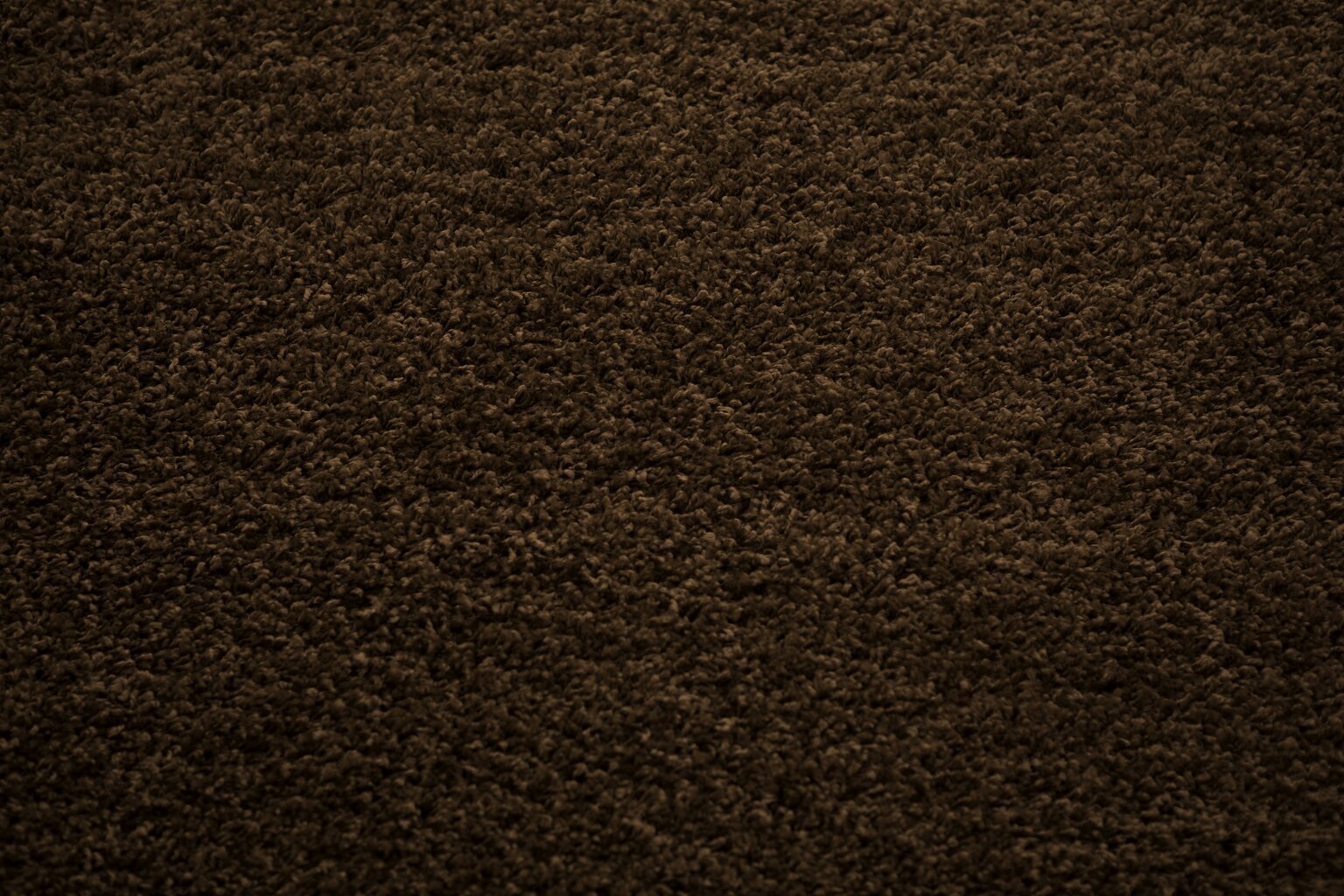 Vaip Shaggy Brown, 160 x 220 cm цена и информация | Vaibad | kaup24.ee