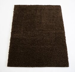 Vaip Shaggy Brown, 80 x 150 cm hind ja info | Vaibad | kaup24.ee