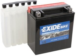 12V 14Ah YTX16-BS AGM 150x87x161+- Exide цена и информация | Аккумуляторы | kaup24.ee