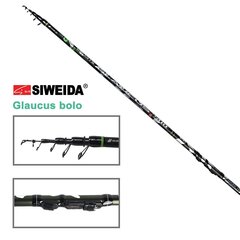 Õngeritv SWD Sports Glaucus bolo 6m kuni 30g hind ja info | Ridvad, ridvahoidjad | kaup24.ee