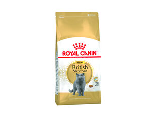 Royal Canin British Shorthair 0.4 kg цена и информация | Сухой корм для кошек | kaup24.ee