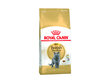 Royal Canin British Shorthair 0.4 kg hind ja info | Kuivtoit kassidele | kaup24.ee