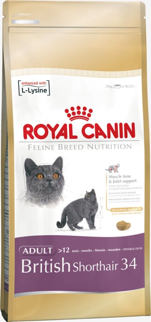 Royal Canin British Shorthair 0.4 kg цена и информация | Kuivtoit kassidele | kaup24.ee