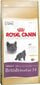 Royal Canin British Shorthair 0.4 kg hind ja info | Kuivtoit kassidele | kaup24.ee