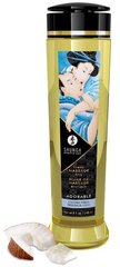 Massaažiõli Shunga Adorable Coconut Thrills, 240 ml hind ja info | Massaažiõlid | kaup24.ee