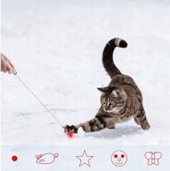 Игрушка для кошек и собак - лазер цена и информация | Игрушки для кошек | kaup24.ee